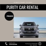 Car Rental