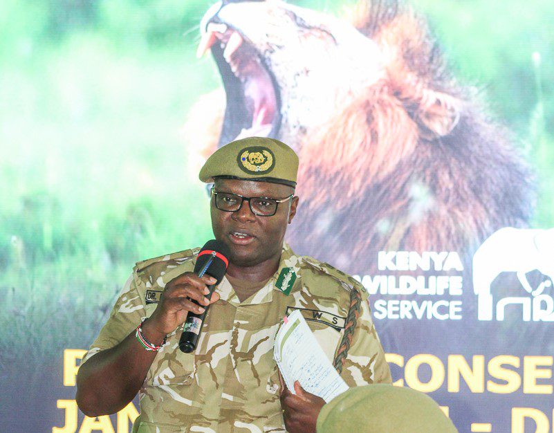 KWS: Park Entry Revenues Climb to Sh7.92 Billion Despite Fee Standoff, Highlighting Tourism Resilience.