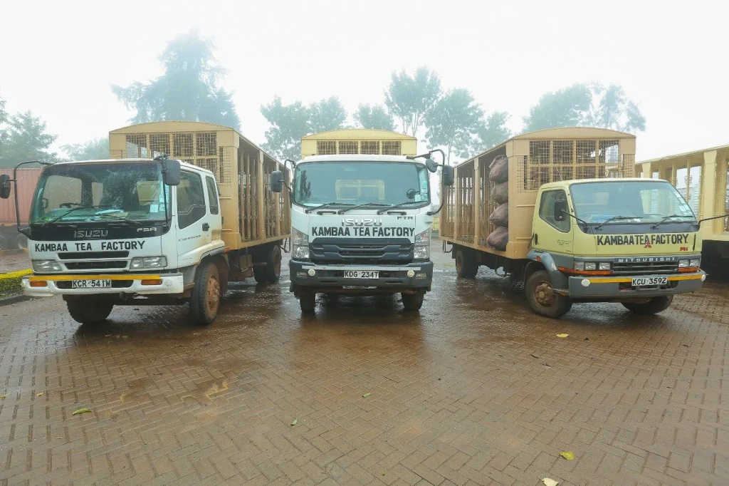 KTDA sets fertilizer transport charges for tea factories