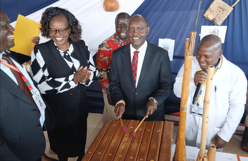 Plans to commercialize school talent underway